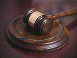 ארז בן דוד עו"ד