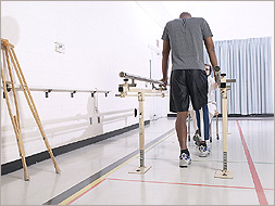 ארז בן דוד עו"ד